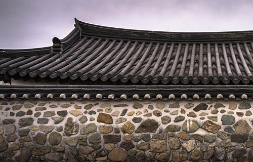 Leistungen vegetative roof