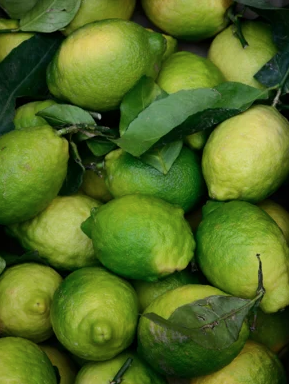 3-in-1 Eye Cream for Men – Bild 4