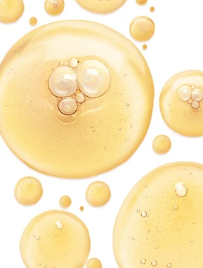 Antioxidant Ginkgo Gel Booster – Bild 4