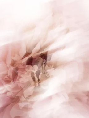 Collagen Anti-Age Night Cream – Bild 3