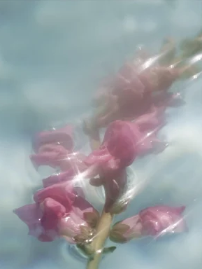 Collagen Boost Serum – Bild 5