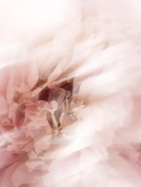 Sun Protection SPF50 Stick, with tint – Bild 5